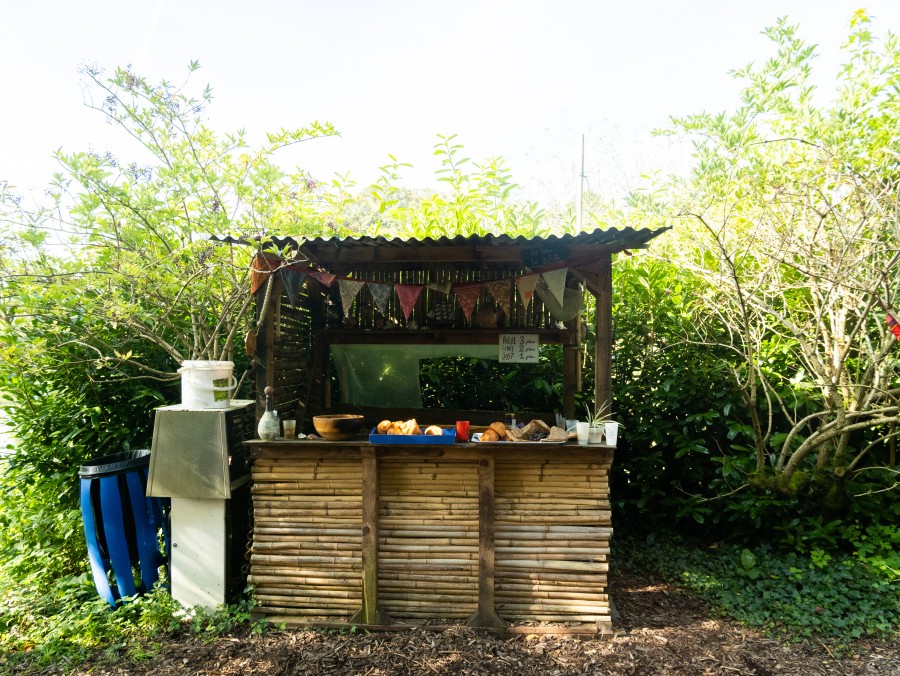 dscf7376.jpg